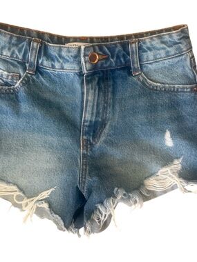 Zara Light Blue Distressed Jean Shorts